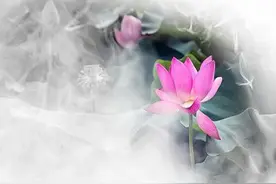 如果爱是一场修行——仓央嘉措经典诗词集锦图片