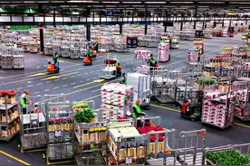 到荷兰旅行，一定要去看看阿姆斯特丹附近那个令人震撼的鲜花卖场图片