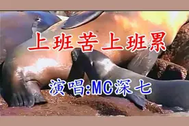 一首《上班苦上班累》好听醉了