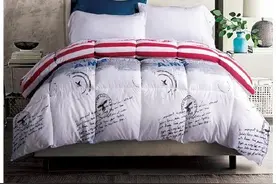 曼多依品牌高档秋冬羽丝绒棉被图片