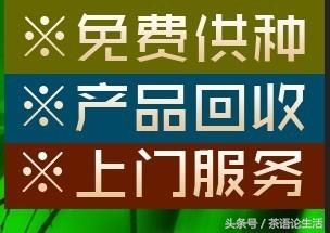 벻Щƭ֣