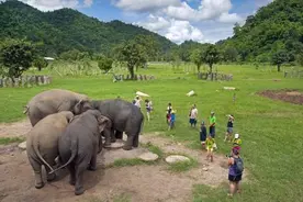 盘点：七大动物保护区图片