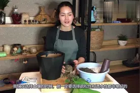 室内盆栽白兰花，上盆是关键，选盆和配土有学问视频封面
