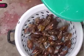 蜗牛营养丰富，味道鲜美，你敢吃吗？蜗牛的三种烹饪方法