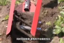 农民大叔发明高效锄地机，效率提升5倍，一天可以锄3亩地