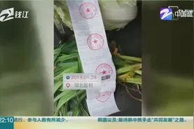湖北：大巴乘客带萝卜白菜司机被罚200元，官方：撤销处罚决定视频封面