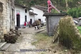 在农村，孕妇为什么不能去探望坐月子的妇女？这是什么风俗？视频封面