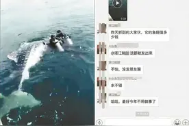 海南“鲸鲨事件”涉事景区否认买卖商演，称急于救助程序欠妥图片