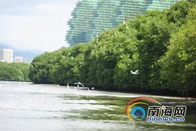 三亚打造“双修”升级版 2017年将再添9所公园绿地图片