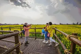 美哭了！苏州比十里桃林还要美的油菜花海都在这儿啦！图片
