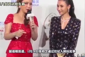 三胎儿子出生证遭曝光姓名泄露，张柏芝怒斥：侵犯隐私追究到底！视频封面