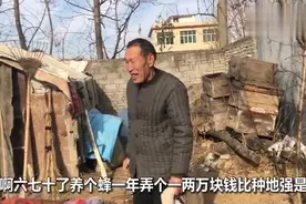 养蜜蜂赚钱吗？农村大叔养了40箱蜂，说出一年的收入你别吃惊