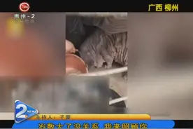 小狗钻进猪圈喝“猪王”的奶，现在“猪王”老了，小狗来照顾它视频封面