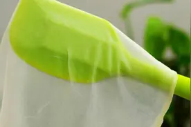 教你如何做出比纸都薄的烤鸭饼，2块钱就能做五十张！
