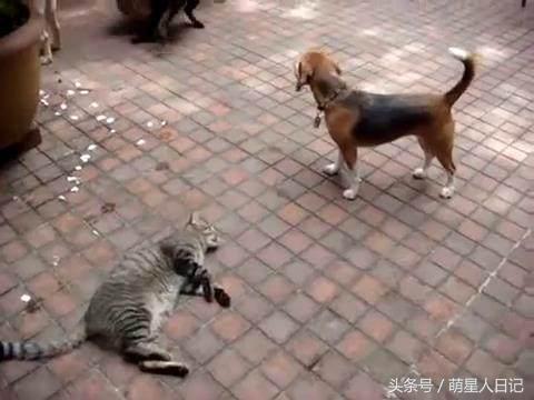 ��ֻ�������ֹ����в�С�Ĳȵ������ˣ�Ȼ��������������ð�����