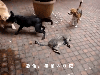 ��ֻ�������ֹ����в�С�Ĳȵ������ˣ�Ȼ��������������ð�����