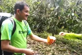 野生可可果不仅长得好看，而且比巧克力好吃