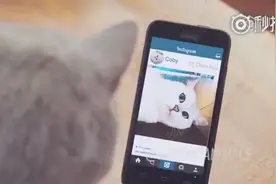 当你偷看别人朋友圈 手滑点了个赞之后，好形象！太魔性了