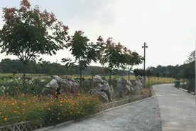 芜湖周边农庄一日游。