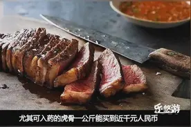 墨西哥才是中国吃货的天堂，老虎肉、狮子肉、都是为中国人准备的