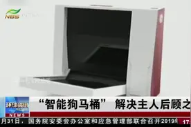 狗狗排泄问题：“智能狗马桶”解决主人后顾之忧视频封面
