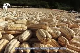 走进秘鲁：世界上比墨西哥人还爱玉米的国家，国名都是玉米的意思