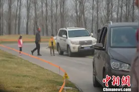 北京野生动物园证实虎区有游客下车 首次劝阻未听图片