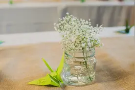 青普旅游获2亿元A轮融资 成花间堂最大股东图片