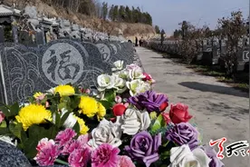祭祖扫墓显文明图片