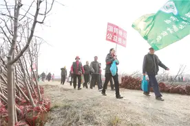 一人一树 绿满淄博图片