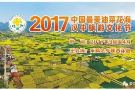 洋县油菜花节最强游玩攻略！看这一个就够了！图片