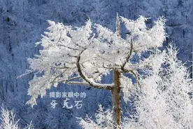 图志｜赞！摄影家眼中的牙克石：森林之都，冰雪之乡（2）图片
