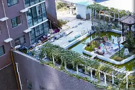 市民楼顶上建花园 享受生活可能会引起邻居的不满哦图片
