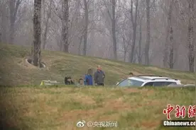 评论丨老虎不是吃素的 规则更不能吃素！图片
