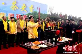 福州茉莉花茶“开春第一采” 闽茶香飘“一带一路”图片