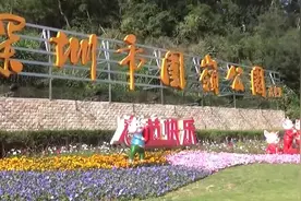 深圳围岭公园春节游玩视频封面