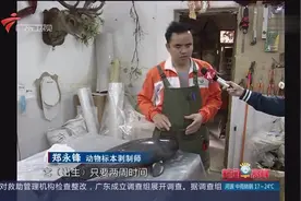广东发现3头江豚尸体 将成标本视频封面