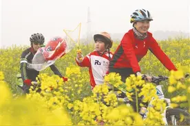高淳慢城金花节开幕 万亩油菜花全盛开图片
