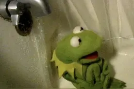 联合国专家：25岁就是中年，要积极调整心态|国产洋葱图片