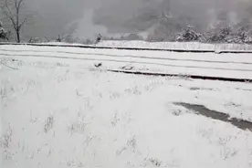 猝不及防！开州今天下雪啦图片