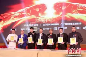 2017年世界超级散打王争霸赛10月末回归图片