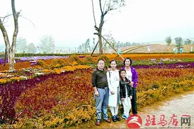驻马店鲜为人知的翁姓图片