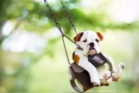 这个单词献给所有80、90后的“中年人”丨CD电台图片