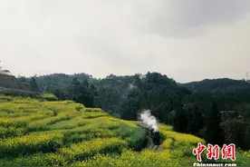 开往春天的小火车(图)图片