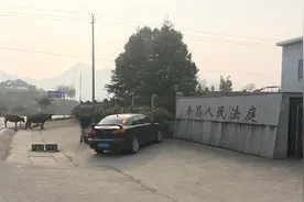 杭州一村民被牛撞伤致死，庭审时牛主人将牛牵来欲证“清白”图片