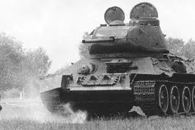 老鹰抓无人机？揭秘千奇百怪的“动物军团”图片