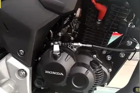 新大洲本田CBF190R，13800元对比五羊本田猛鸷190，哪个值得视频封面