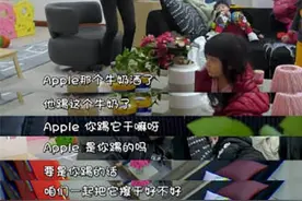 易烊千玺都能冷静带娃，为啥父母们戒吼却难成功图片