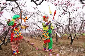 新绛县第四届桃花节“盛妆”开幕图片