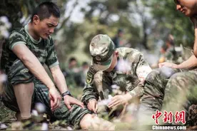 滇南武警“魔鬼周”极限训练上演山林捕歼战(图)图片